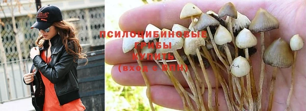 гашиш Володарск